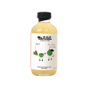 TABOOCHA Calamansi Green Tea Kombucha  (250mL)