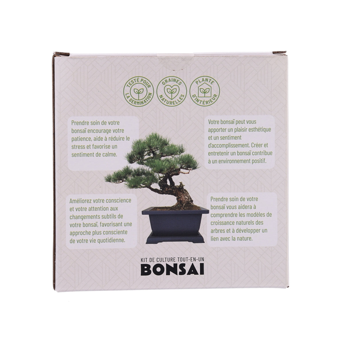 All-in-One Growing Kit - Bonsai Pine  (1pc)