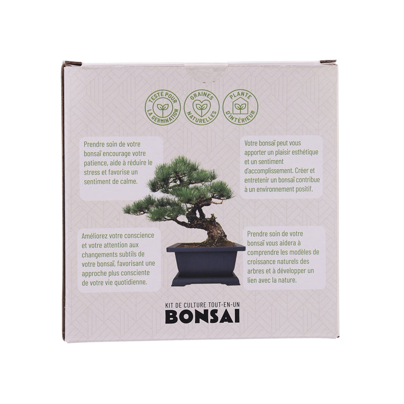 All-in-One Growing Kit - Bonsai Pine  (1pc)
