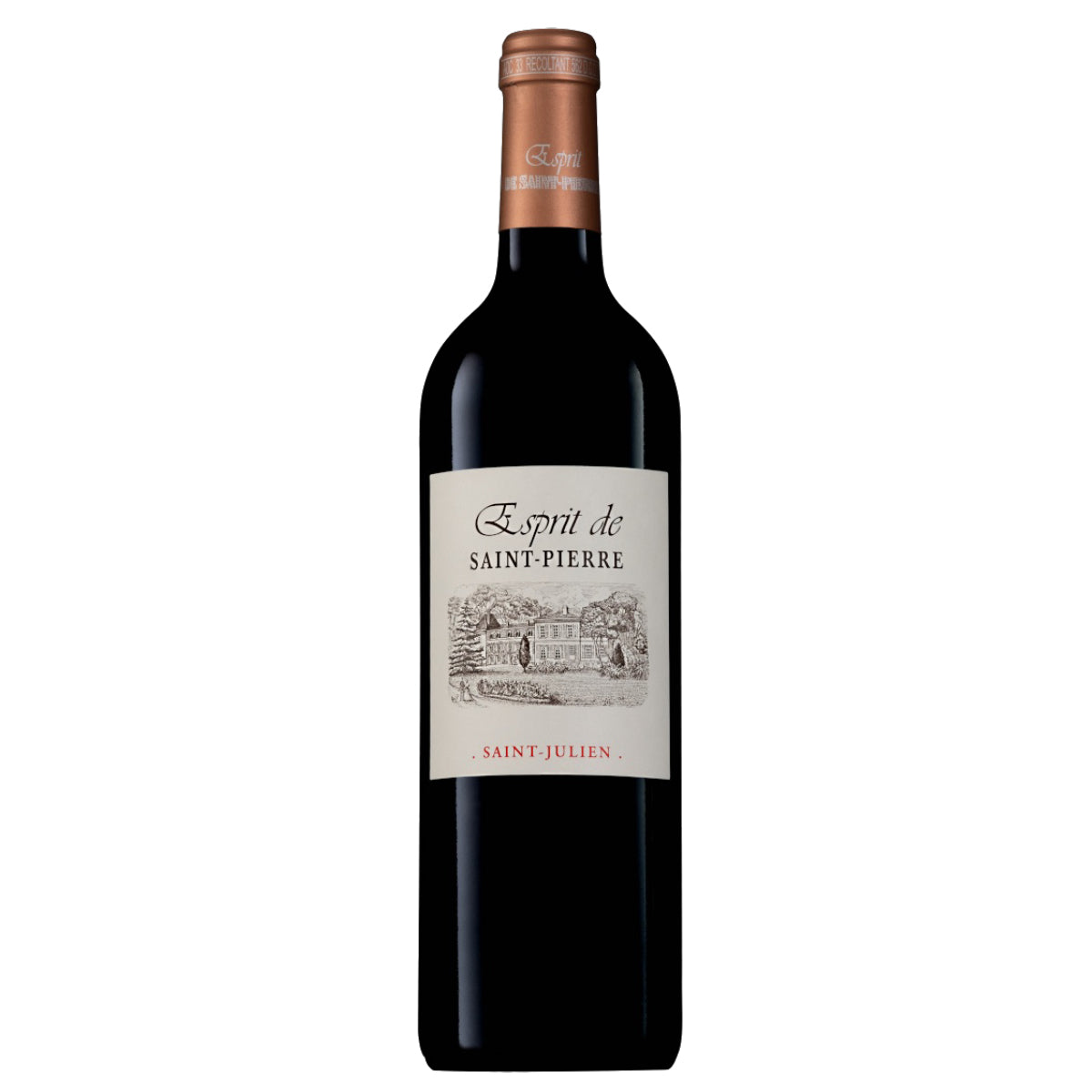 CH SAINT PIERRE Esprit de Saint Pierre Saint Julien 16/18 (750mL)
