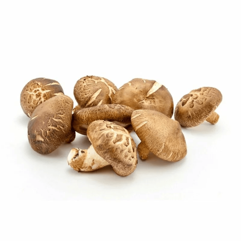 中國新鮮花菇  (600g)