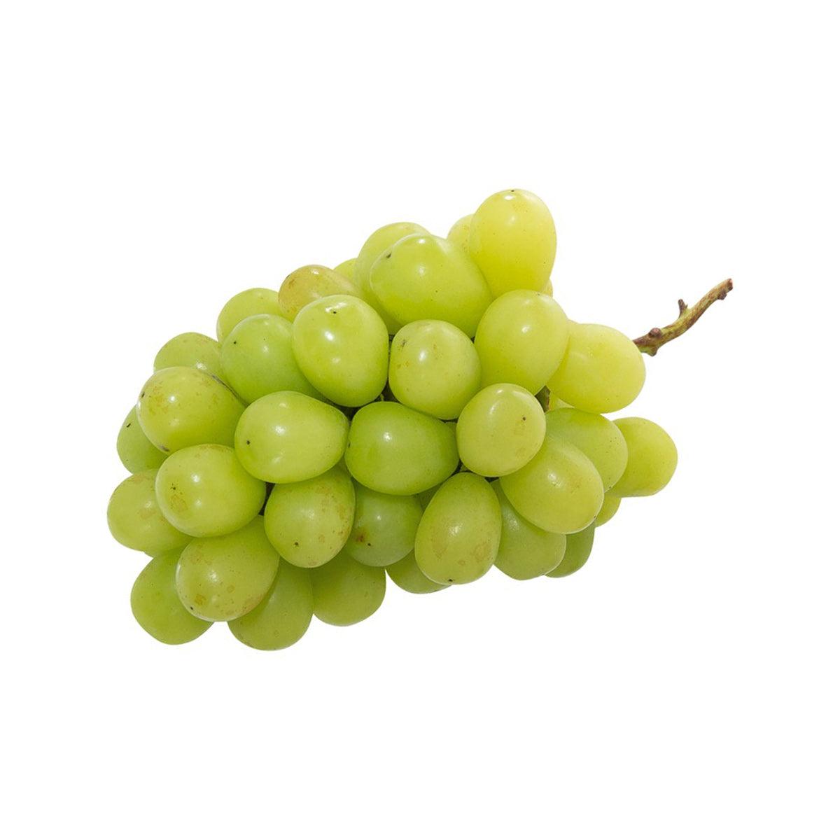 ALL FRESH 韓國祖之鄉麝香無核青提子  (650g)