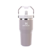 STANLEY The IceFlow™ Flip Straw Tumbler 20oz - Ash