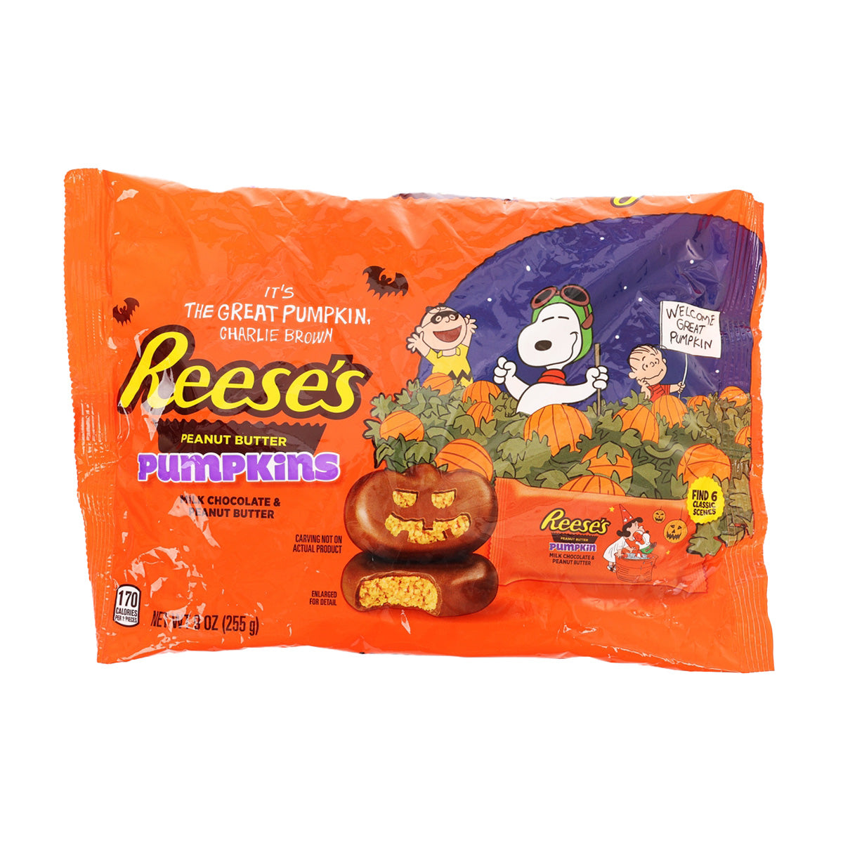 REESE'S Snoopy & Friends Wrappers Milk Chocolate Peanut Butter Snack Size Pumpkins  (255g)