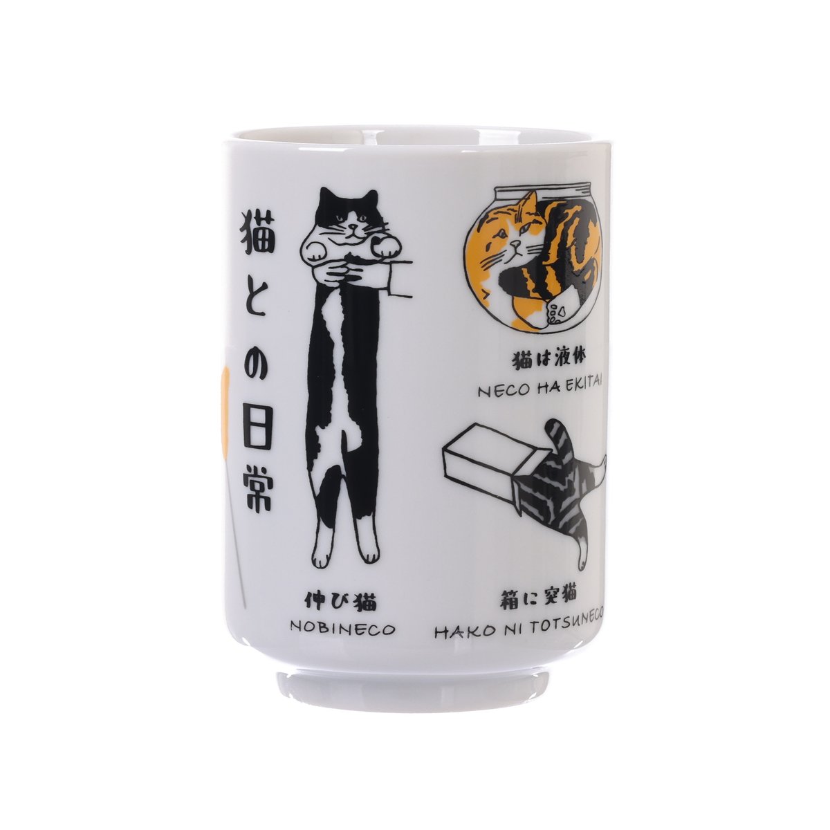 IPPIN Tea Cup - Cat's Daily