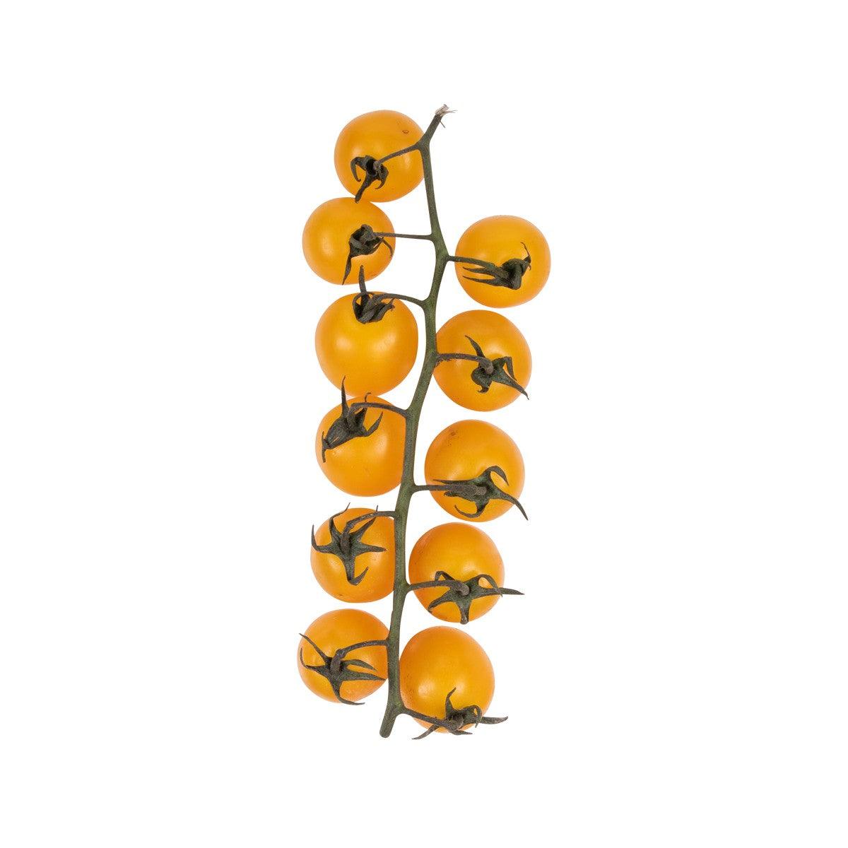 TOMASI Italy Sicilian Yellow Vine Cherry Tomato  (250g)