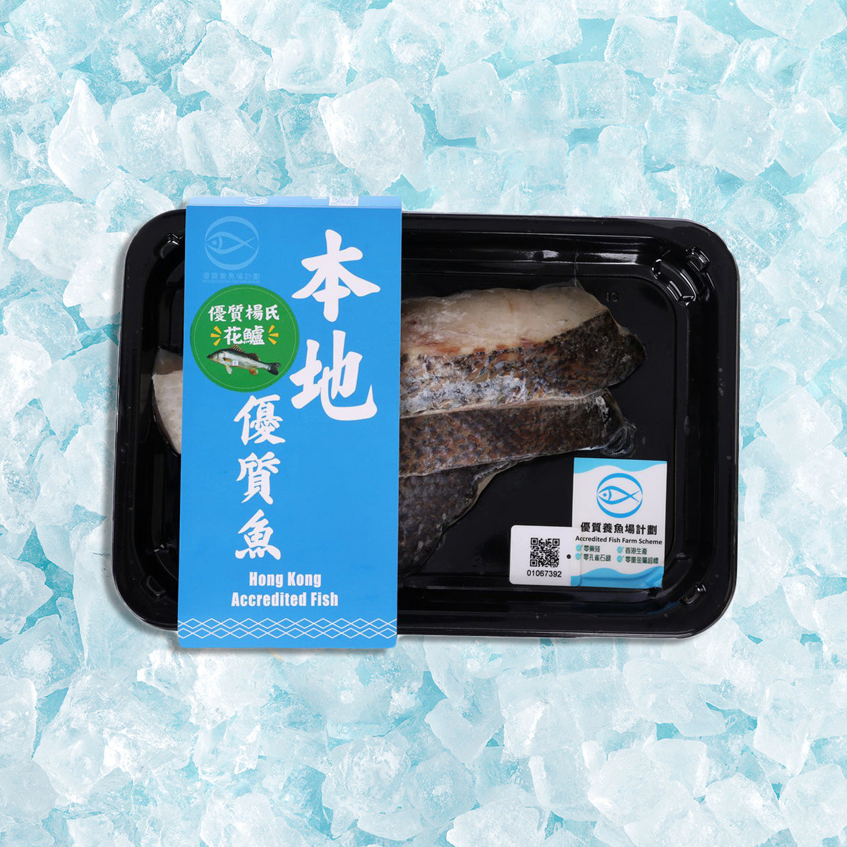 FMO 本地急凍楊氏花鱸魚柳  (240g)