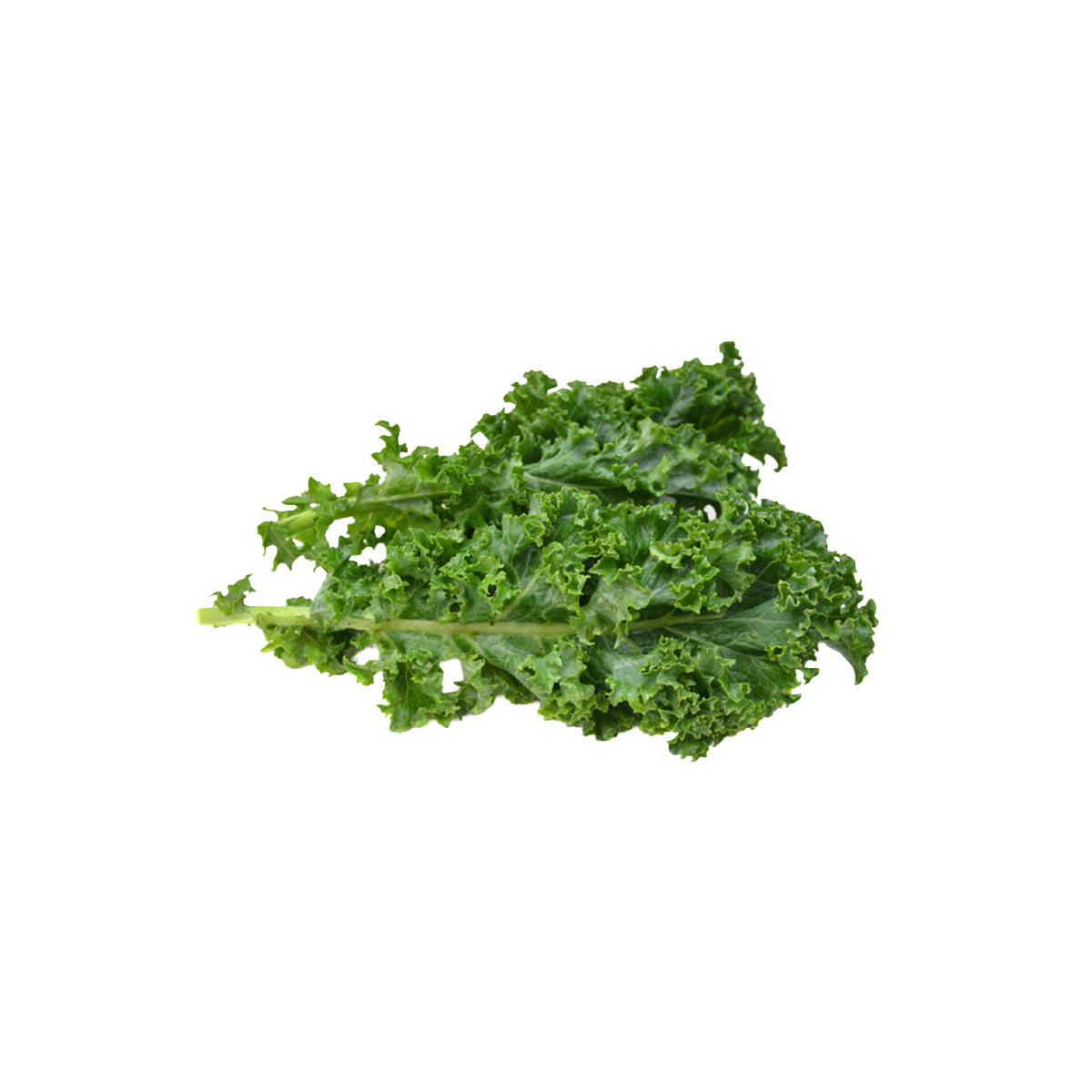 Australian Organic Kale  (300g)