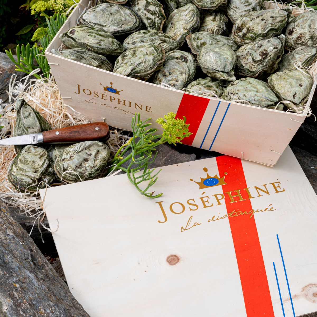 From French Seashore to Your Plate - 12 (Fri) June 2026
