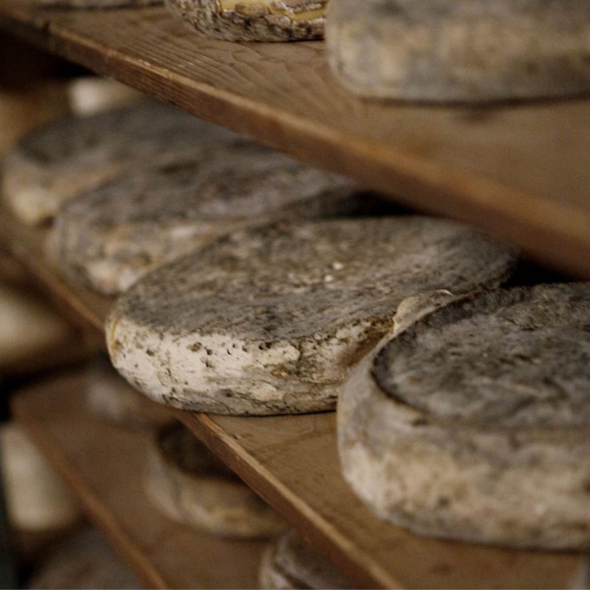 Les Frères Marchand Cheese Masterclass