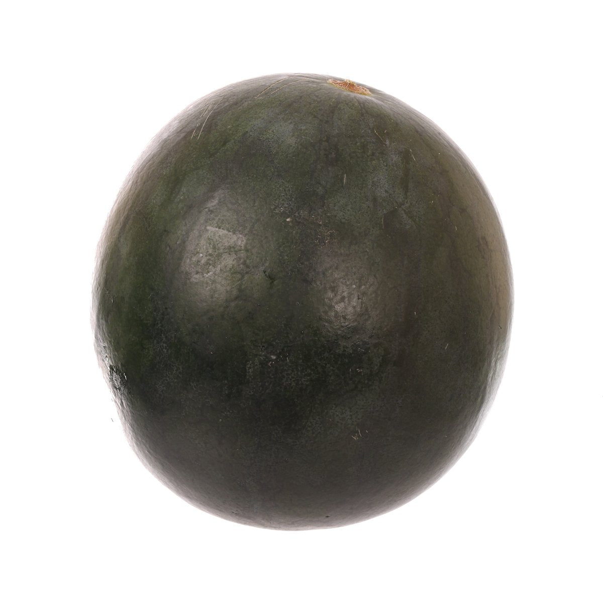 Japanese Black Kodama Watermelon (Red Flesh)  (1pc)