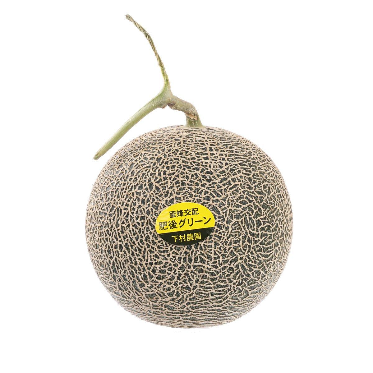 Japanese Higo Green Melon  (1pc)