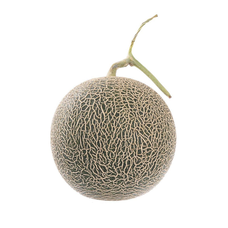 Japanese Higo Green Melon  (1pc)