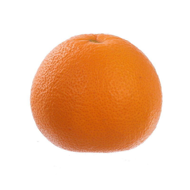 Japanese Hassaku Orange  (1pack)