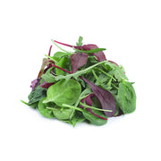 READY PAC Coleslaw  (397g)