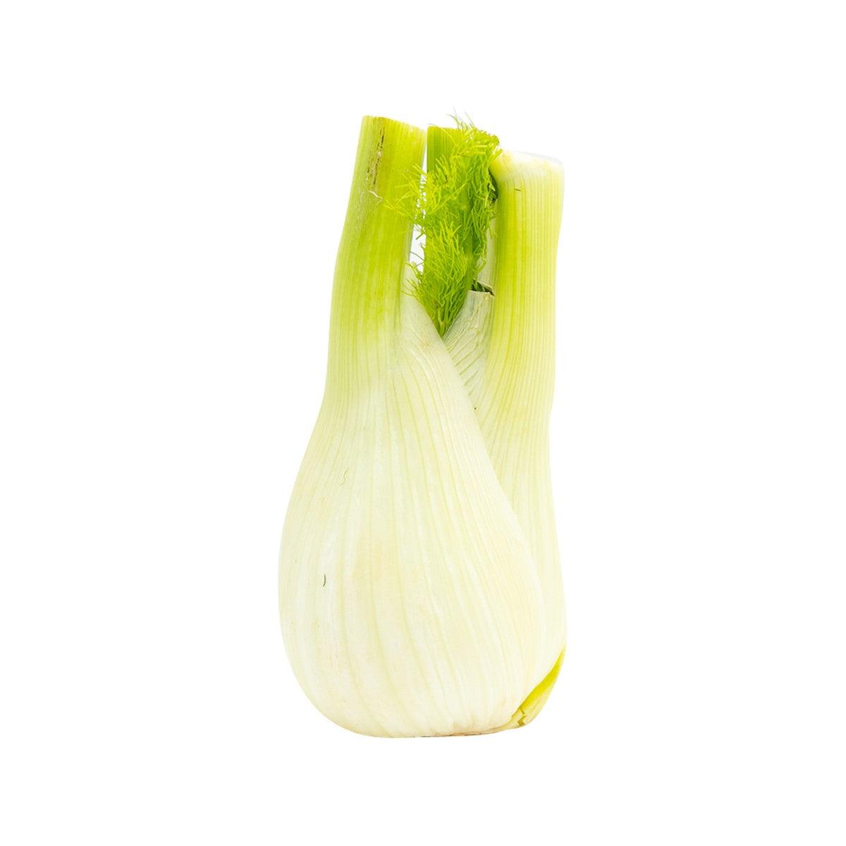 Italian Fennel  (600g)