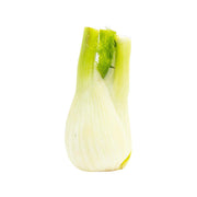 Italian Fennel  (600g)