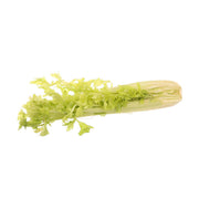 USA Organic Celery  (500g)