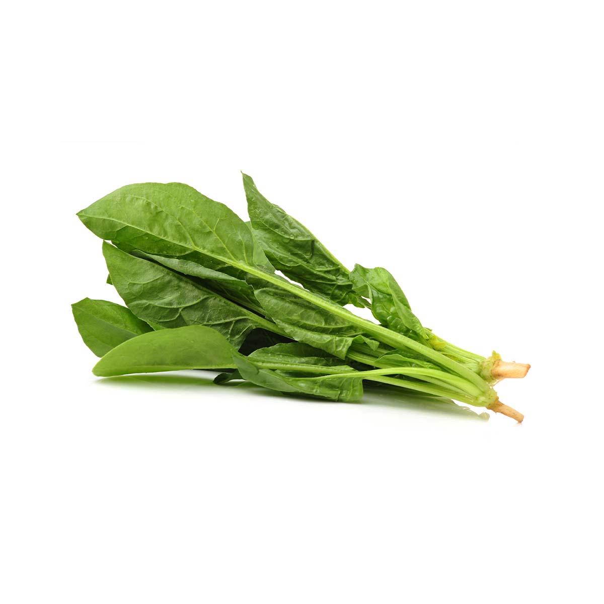 澳洲菠菜苗  (300g)