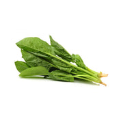 澳洲菠菜苗  (300g)