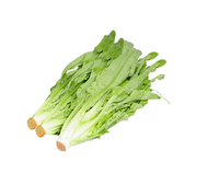 China Organic Indian Lettuce  (300g)