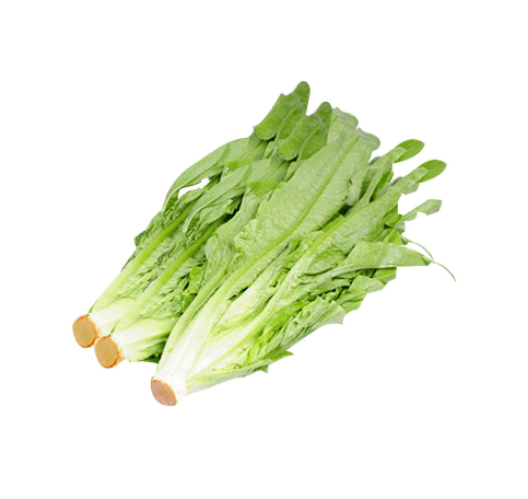 中國有機油麥菜 (300g)