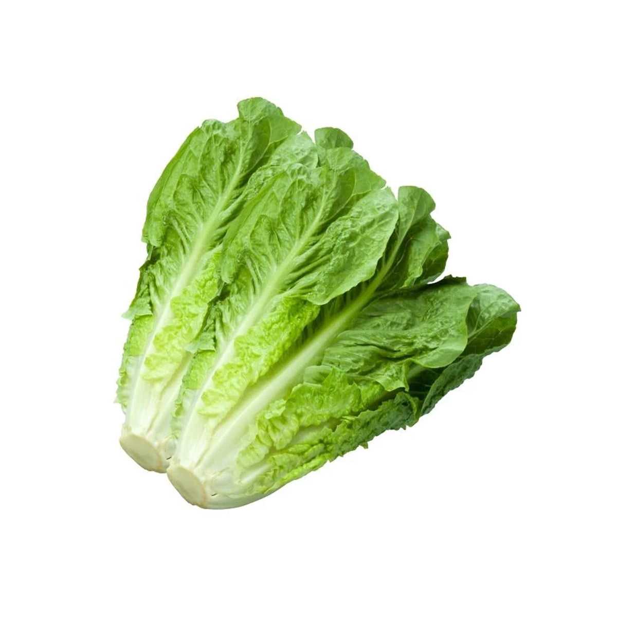 USA Organic Romaine Lettuce  (600g)