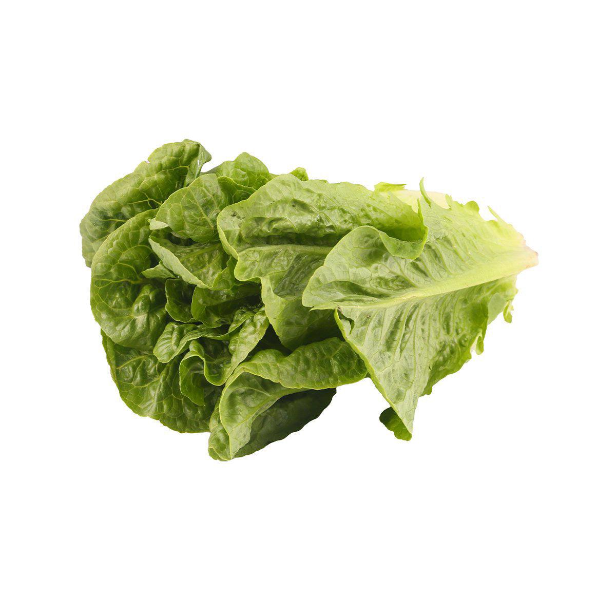 Local Organic Italian Lettuce  (500g)