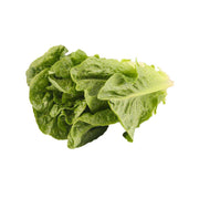 本地有機意大利生菜 (500g)