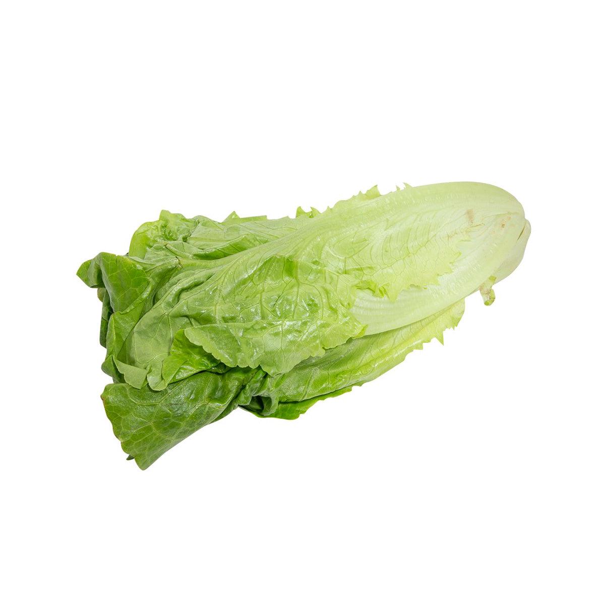 Local Organic Indian Lettuce  (300g)