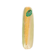 Japan Hokkaido Sweet Corn  (1pack)
