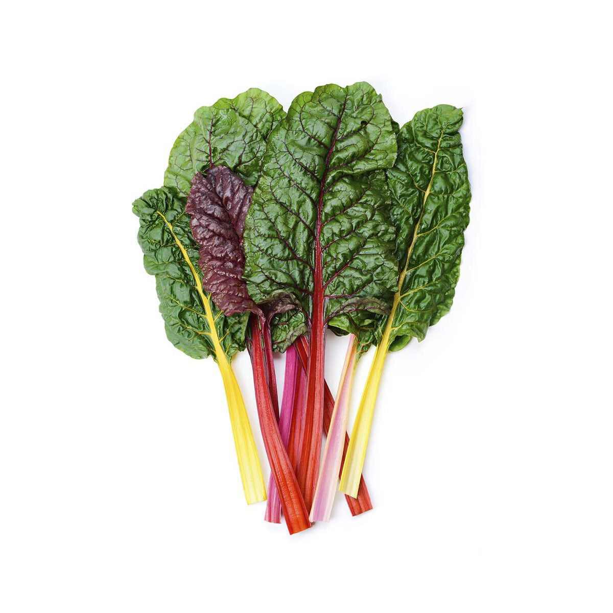 USA Organic Rainbow Chard  (1pack)