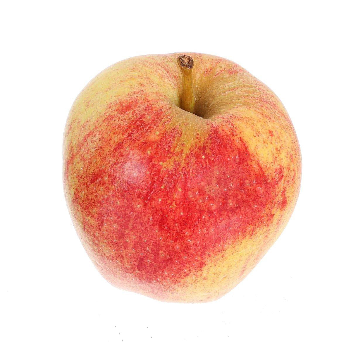 MOUNEYRAC French Organic Gala Apple  (1pc)