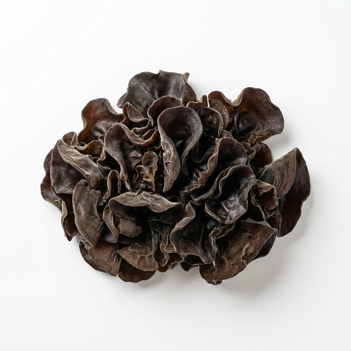 Taiwanese Organic Wood Ear  (250g)