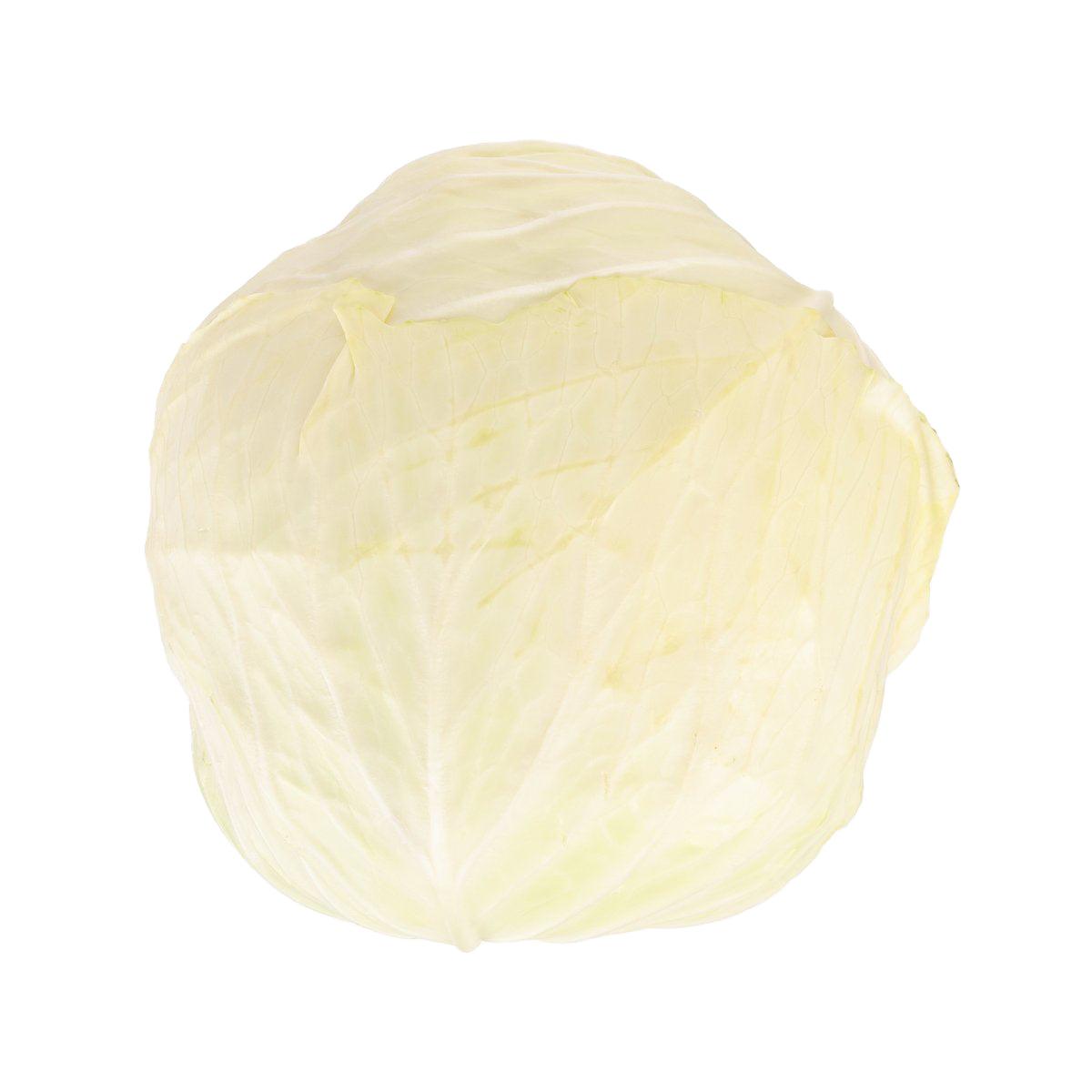 Local Organic Cabbage  (600g)