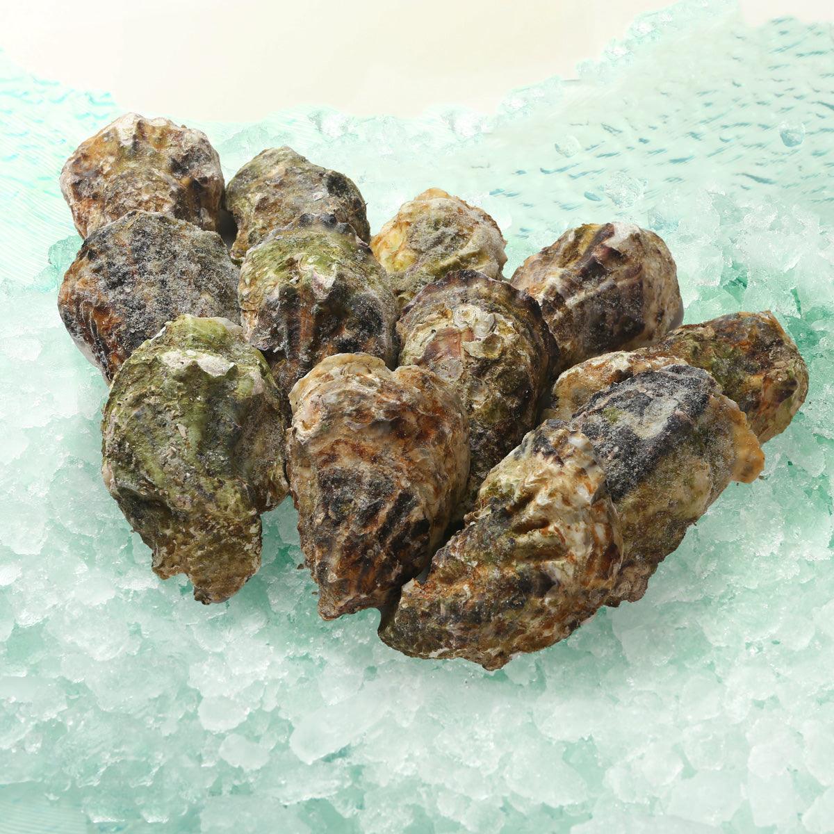 French Oyster Trio Box #2 (Nr.3)  (12pcs)