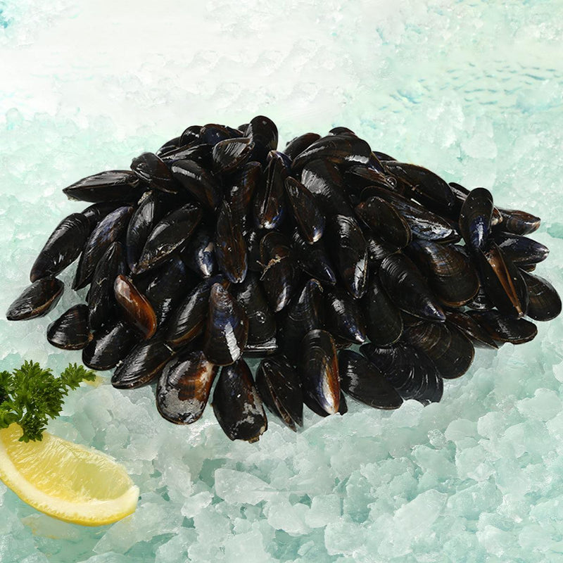 LA CANCALAISE French Label Rouge Live Blue Mussel  (1kg)