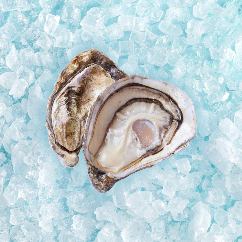 GEAY French Geay Speciale Oyster Nr.0  (1pc)