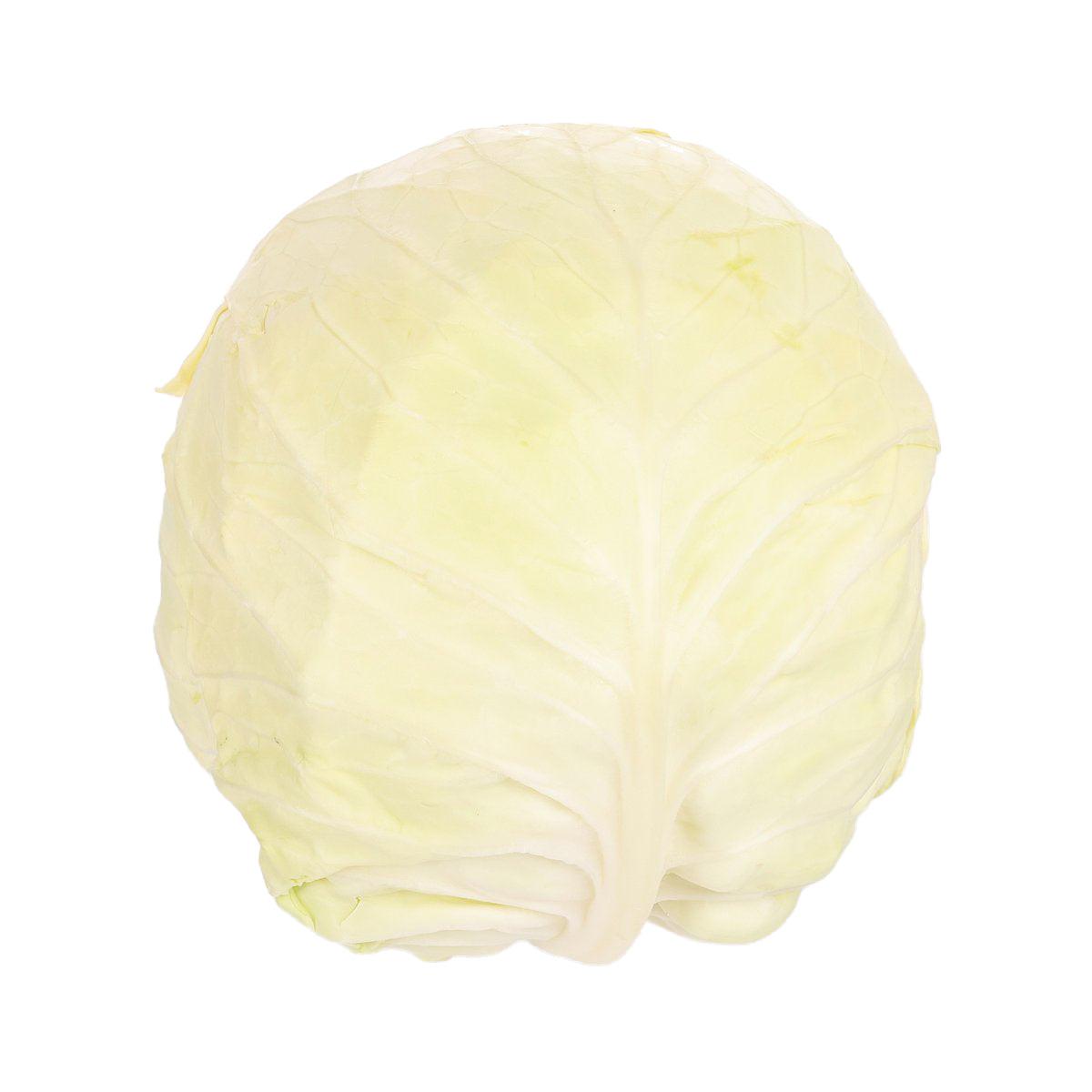 Japan Nagano Green Bowl Cabbage  (300g)