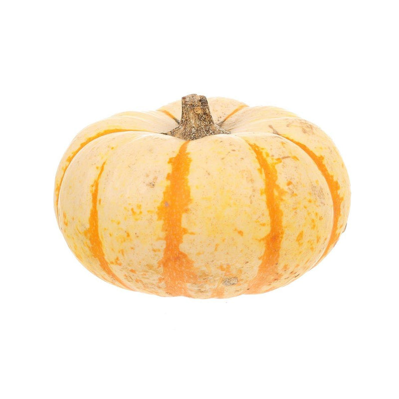 Mini Tiger Pumpkin