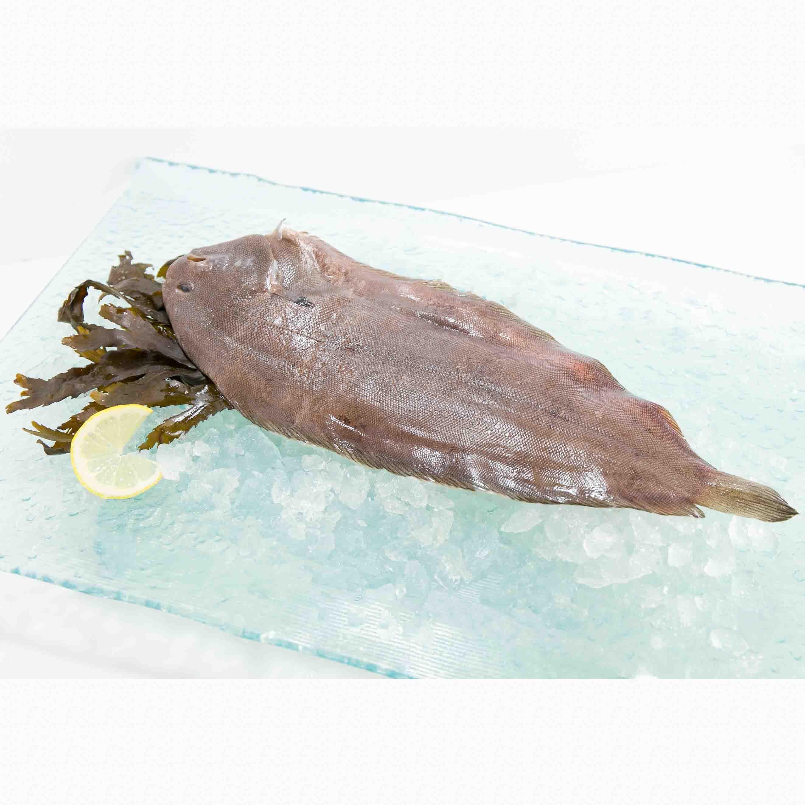 法國野生細龍利魚 (100g)