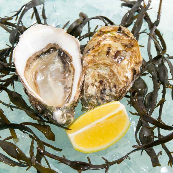 GEAY French La Mome Special Oyster Nr.5- ASC  (1pc)