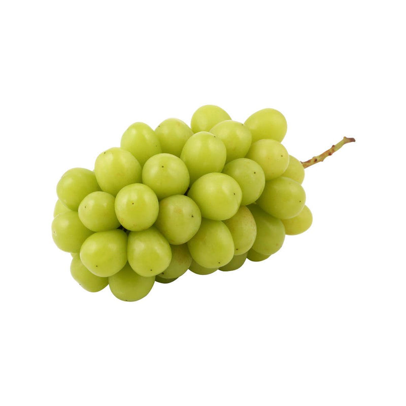 Korean Seedless Green Muscat Grape (Global G.A.P. Certified)  (1100g)