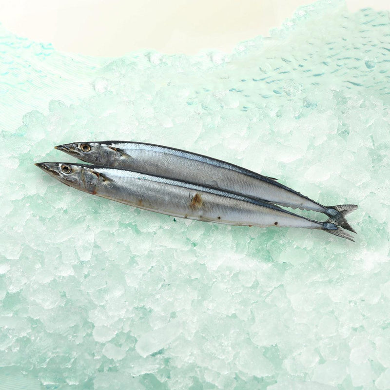 Japan Aomori Sanma Fish 2pcs [Previously Frozen]  (2pcs)