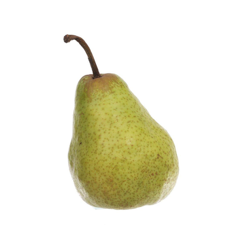 Belgian Conference Pear