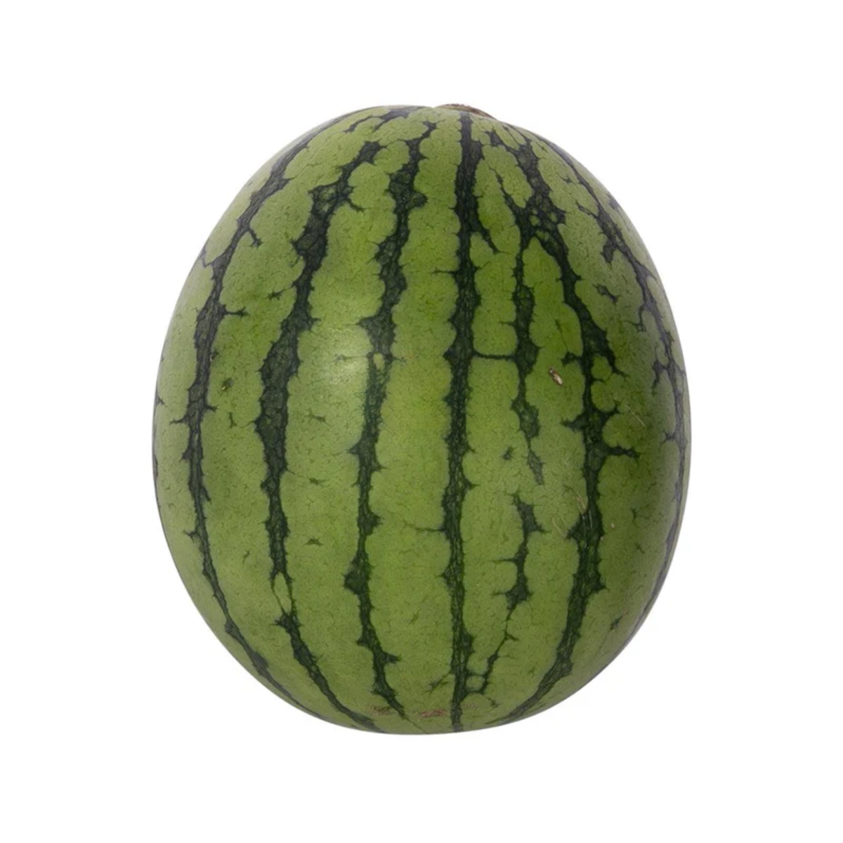Japanese Uribo Watermelon  (1pc)