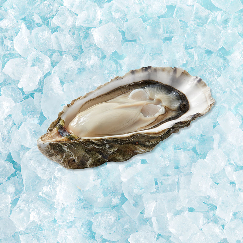 CITYSUPER 日本廣島蠔 [經解凍處理]