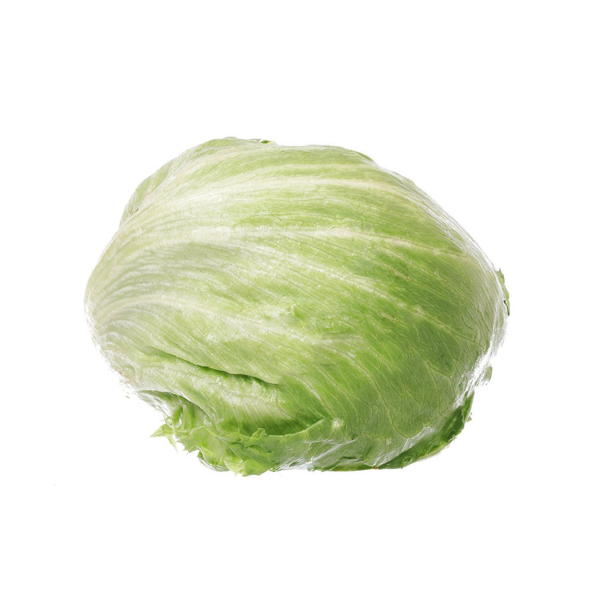 Holland Iceberg Lettuce  (600g)