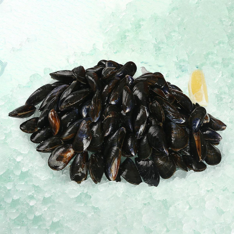 LA CANCALAISE French Mont Saint Michel Bay PDO Live Blue Mussel  (2 x 1kg)