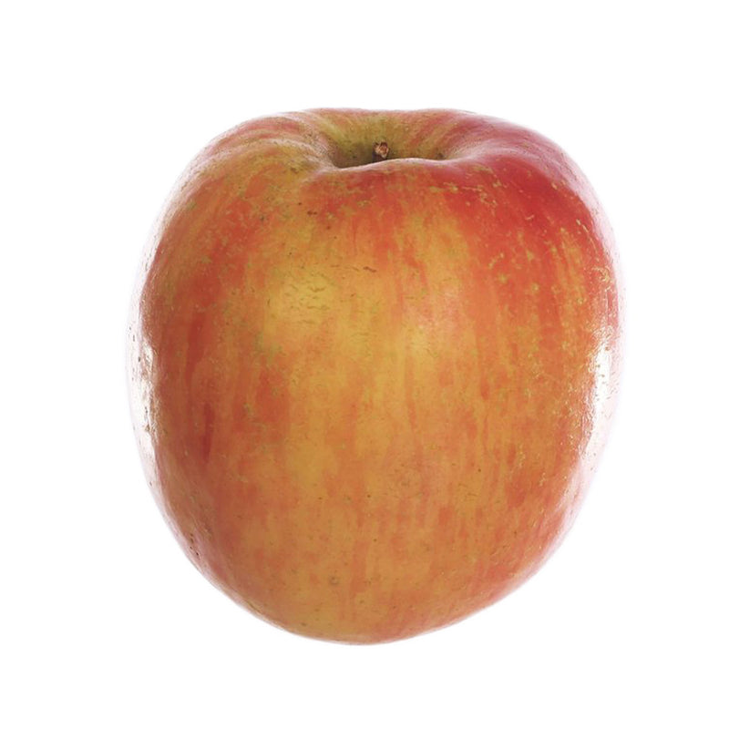 French Fuji Apple  (1pack)